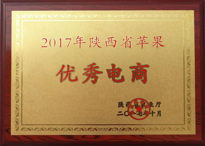 陜西省優(yōu)秀電商企業(yè)