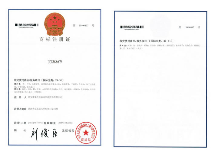  公司注冊(cè)商標(biāo)