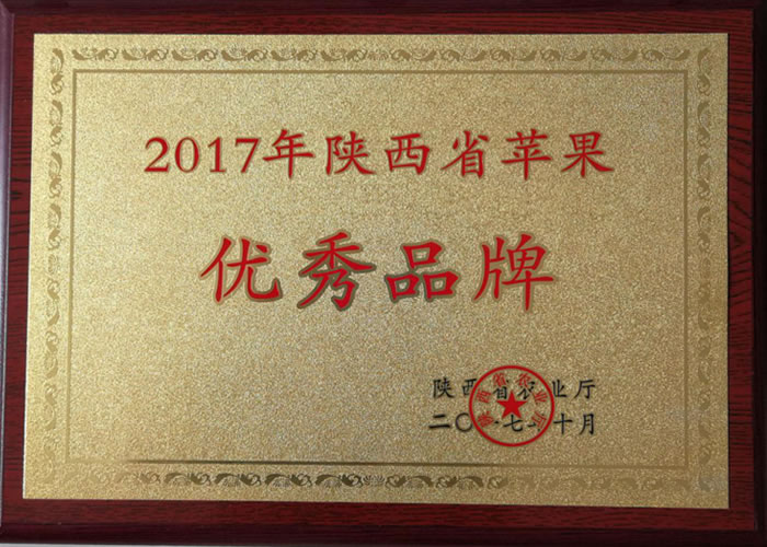 陜西省優(yōu)秀品牌